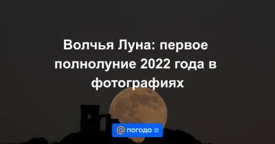 Екатерина Гура - Волчья Луна: первое полнолуние 2022 года в фотографиях - news.mail.ru