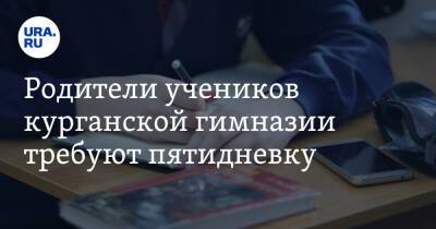 Родители учеников курганской гимназии требуют пятидневку. «Когда детям учить уроки?» - ura.news - Курган