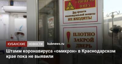 Вениамин Кондратьев - Штамм коронавируса «омикрон» в Краснодарском крае пока не выявили - kubnews.ru - Сочи - Краснодарский край - респ. Адыгея