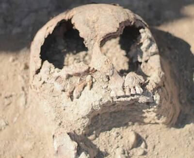 Элиас Готье - Археологи обнаружили 2000-летний череп воина с вживленной металлической пластиной - actualnews.org - США - штат Оклахома