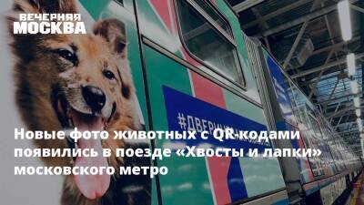Новые фото животных с QR-кодами появились в поезде «Хвосты и лапки» московского метро - vm.ru - Москва