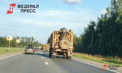 Елен Майоров - Эксперт рассказал, насколько подорожает древесина в 2022 году - smartmoney.one - Москва - Москва