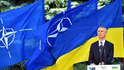 Руслан Бортник - Украина может вступить в НАТО только по частям - news-front.info - Россия - Украина - Киев