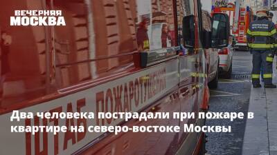 Два человека пострадали при пожаре в квартире на северо-востоке Москвы - vm - Москва - Москва