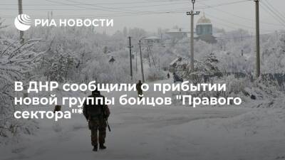 Эдуард Басурин - Народная милиция ДНР сообщила о прибытии новой группы бойцов "Правого сектора" в Донбасс - ria.ru - Москва - Россия - Украина - Киев - ДНР - Горловка - Донецк - ЛНР - Москва - Киев