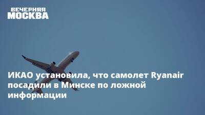 Роман Протасевич - София Сапега - ИКАО установила, что самолет Ryanair посадили в Минске по ложной информации - vm.ru - Белоруссия - Литва - Вильнюс - Минск - Афины