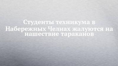 Студенты техникума в Набережных Челнах жалуются на нашествие тараканов - chelny-izvest.ru - Набережные Челны