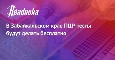 Александр Осипов - В Забайкальском крае ПЦР-тесты будут делать бесплатно - readovka.ru - Забайкальский край - Чита