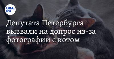 Нэлли Вавилина - Депутата Петербурга вызвали на допрос из-за фотографии с котом - ura.news - Россия - Санкт-Петербург