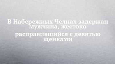 В Набережных Челнах задержан мужчина, жестоко расправившийся с девятью щенками - chelny-izvest.ru - Набережные Челны