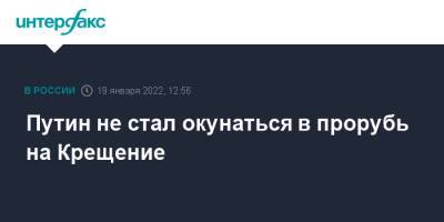 Владимир Путин - Дмитрий Песков - Татьяна Навка - Путин не стал окунаться в прорубь на Крещение - interfax.ru - Москва