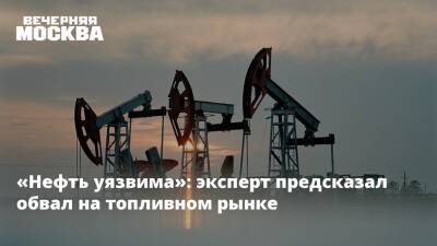 Александр Купцикевич - «Нефть уязвима»: эксперт предсказал обвал на топливном рынке - vm.ru - США - Япония