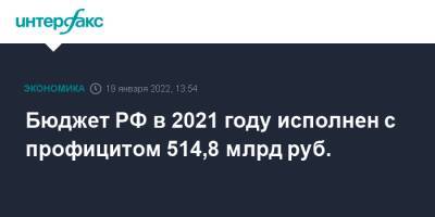 Бюджет РФ в 2021 году исполнен с профицитом 514,8 млрд руб. - interfax.ru - Москва - Россия