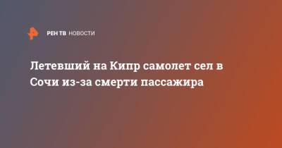 Летевший на Кипр самолет сел в Сочи из-за смерти пассажира - ren.tv - Москва - Сочи - Кипр - Сочи