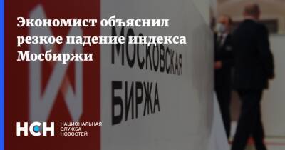 Михаил Делягин - Экономист объяснил резкое падение индекса Мосбиржи - nsn.fm