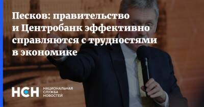 Дмитрий Песков - Песков - Песков: правительство и Центробанк эффективно справляются с трудностями в экономике - nsn.fm - Россия