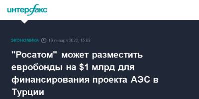 "Росатом" может разместить евробонды на $1 млрд для финансирования проекта АЭС в Турции - interfax.ru - Москва - Россия - Турция