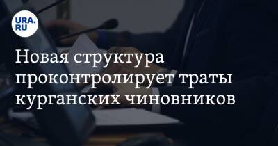 Новая структура проконтролирует траты курганских чиновников - ura.news - Курганская обл. - Курган