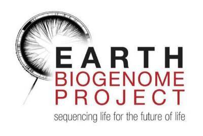 Команда Earth BioGenome приступила к полномасштабному созданию каталога ДНК 1,8 млн видов живых существ - itc.ua - Украина - Антарктида