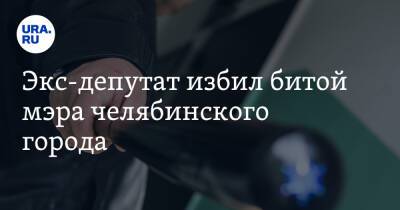 Экс-депутат избил битой мэра челябинского города - ura.news - Челябинская обл.