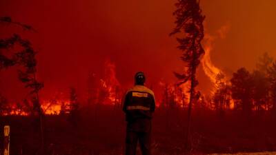 Александр Козлов - В Минприроды рассказали о мерах по борьбе с лесными пожарами в 2022 году - russian.rt.com - респ. Саха