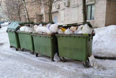 Сергей Шнуров - Петербуржцы смогут вернуть деньги за некачественную уборку мусора за этот месяц - online47.ru - Санкт-Петербург