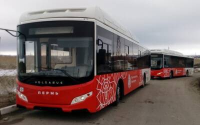 В Перми с начала года запустили два новых автобусных маршрута - 59i.ru - Пермь - Пермь