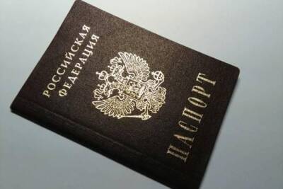 Дмитрий Чернышенко - МВД: при получении цифрового паспорта бумажный документ аннулируется - versia.ru - Россия