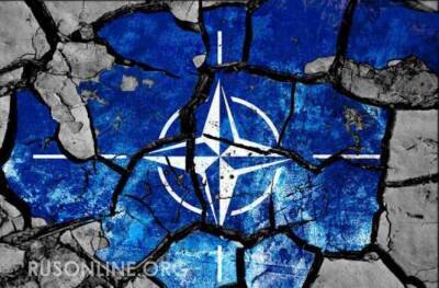 Виктор Ющенко - Неужели дошло? На Украинском ТВ сделали неожиданное заявление на счет России и НАТО - rusonline.org - Москва - Россия - Украина - Украинск