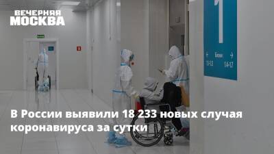 Анна Попова - В России выявили 18 233 новых случая коронавируса за сутки - vm.ru - Москва - Россия