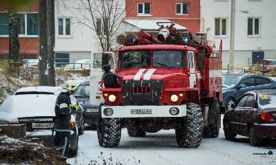 В Смоленске пожарные вынесли пенсионерку из смертельной зоны - rabochy-put.ru - Смоленск