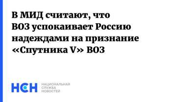 Александр Панкин - В МИД считают, что ВОЗ успокаивает Россию надеждами на признание «Спутника V» ВОЗ - nsn.fm - Россия