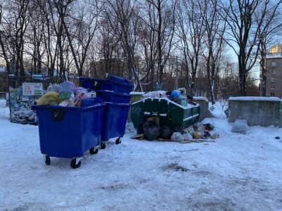 Жители Петербурга жалуются на переполненные контейнеры с мусором - neva.today - Петербурга