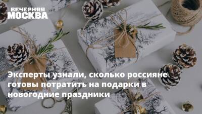 Эксперты узнали, сколько россияне готовы потратить на подарки в новогодние праздники - vm.ru