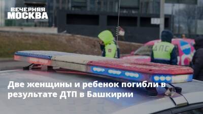 Две женщины и ребенок погибли в результате ДТП в Башкирии - vm.ru - Москва - Башкирия - Уфа - Благовещенск