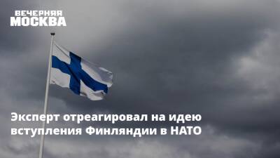 Саули Ниинист - Иван Тимофеев - Эксперт отреагировал на идею вступления Финляндии в НАТО - vm.ru - Финляндия - Хельсинки