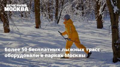 Более 50 бесплатных лыжных трасс оборудовали в парках Москвы - vm.ru - Москва - Москва