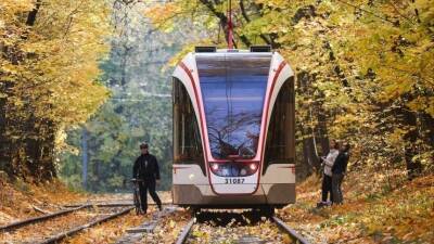 В Москве изменилась стоимость проезда в общественном транспорте - 5-tv.ru - Москва