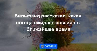 Вильфанд рассказал, какая погода ожидает россиян в ближайшее время - news.mail.ru - Москва - Чукотка