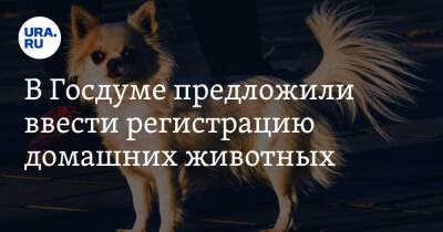 Владимир Бурматов - В Госдуме предложили ввести регистрацию домашних животных. «Бирка, клеймо или чип» - ura.news - Россия