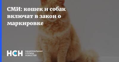 Владимир Бурматов - СМИ: кошек и собак включат в закон о маркировке - nsn.fm