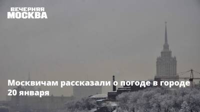 Роман Вильфанд - Москвичам рассказали о погоде в городе 20 января - vm.ru - Москва - Москва