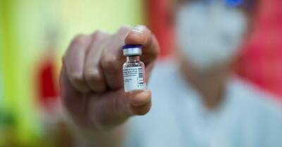 Андрей Бабиш - В Чехии правительство отменило обязательную вакцинацию против COVID-19 - kp.ua - Украина - Чехия
