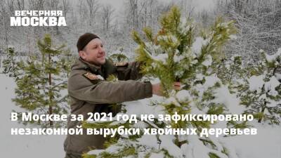 Петр Бирюков - В Москве за 2021 год не зафиксировано незаконной вырубки хвойных деревьев - vm.ru - Москва - Москва