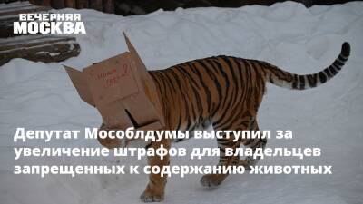 Владимир Бурматов - Депутат Мособлдумы выступил за увеличение штрафов для владельцев запрещенных к содержанию животных - vm.ru