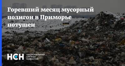 Горевший месяц мусорный полигон в Приморье потушен - nsn.fm - Приморье край - Приморье