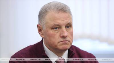 Саверченко: литература дает возможность реконструировать историю в художественных образах - belta.by - Белоруссия
