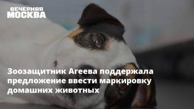 Владимир Бурматов - Зоозащитник Агеева поддержала предложение ввести маркировку домашних животных - vm.ru - Россия