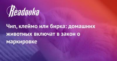 Владимир Бурматов - Чип, клеймо или бирка: домашних животных включат в закон о маркировке - readovka.ru - Россия