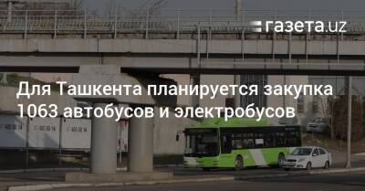 Для Ташкента планируется закупка 1063 автобусов и электробусов - gazeta.uz - Узбекистан - Ташкент